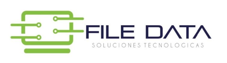 File Data